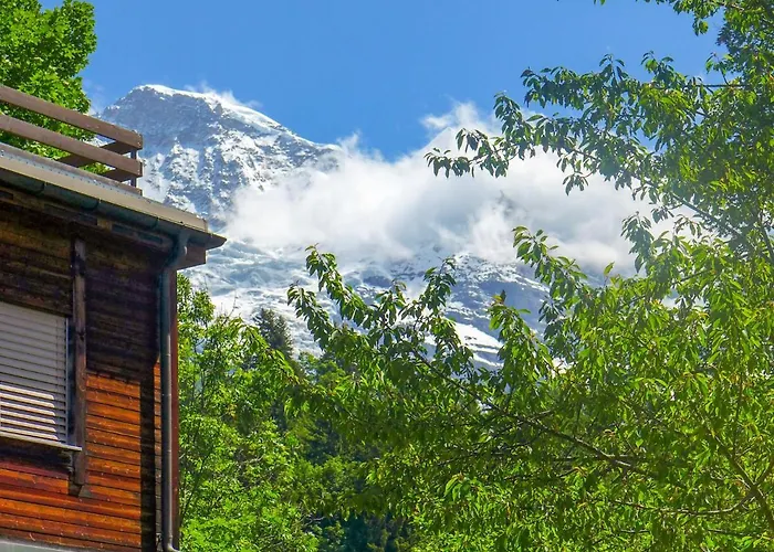 Alpina Apt- Ch By Interhome Wengen