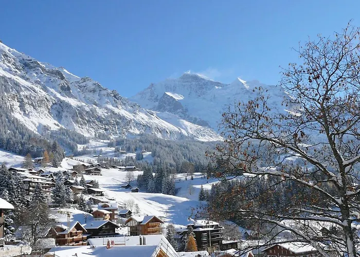 Alpina Apt- Ch By Interhome Wengen