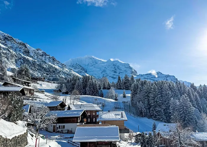 Apartamento Alpina Apt- Ch By Interhome *